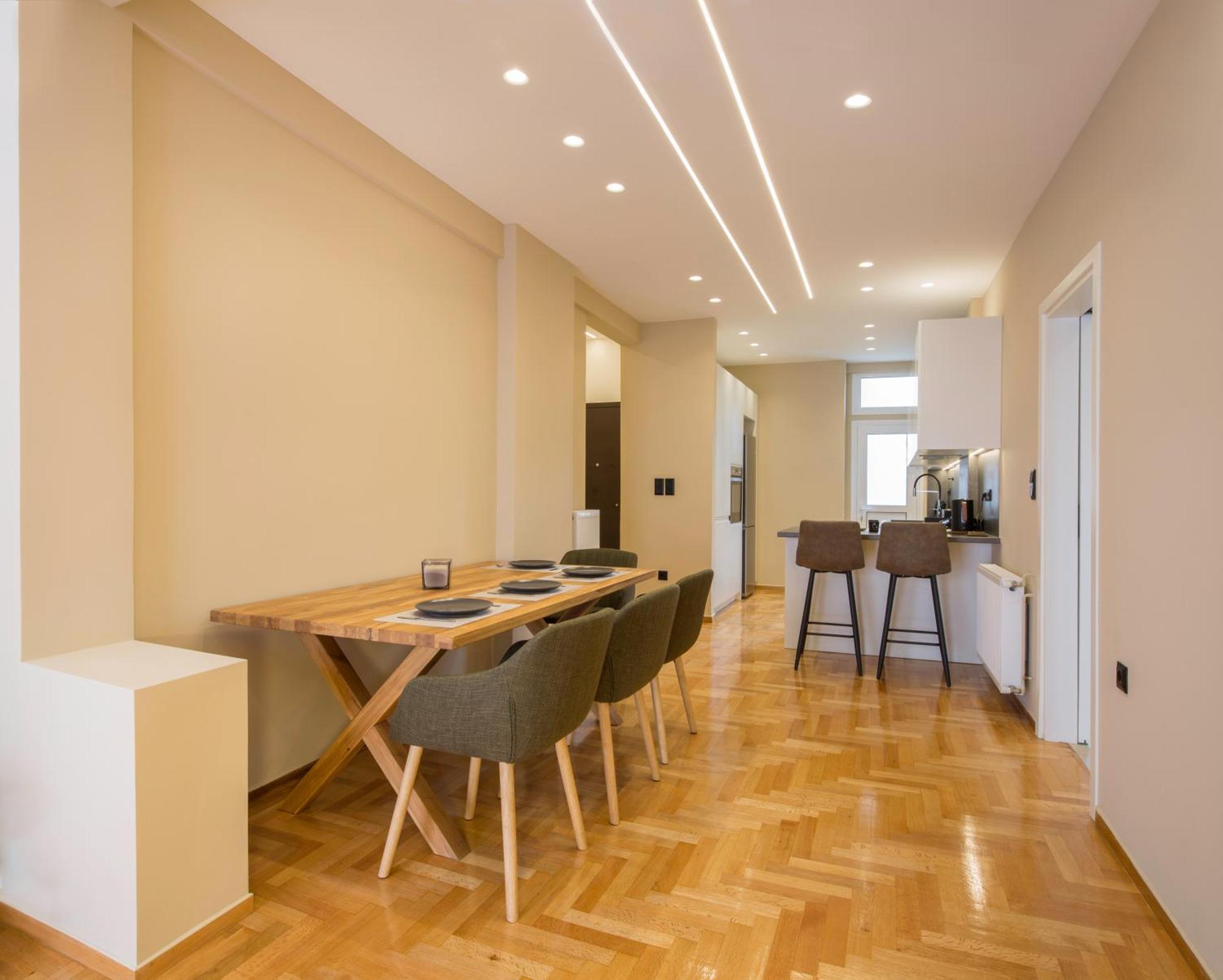 Urban Spacious Apartment Near Kallimarmaron Athens Exterior photo