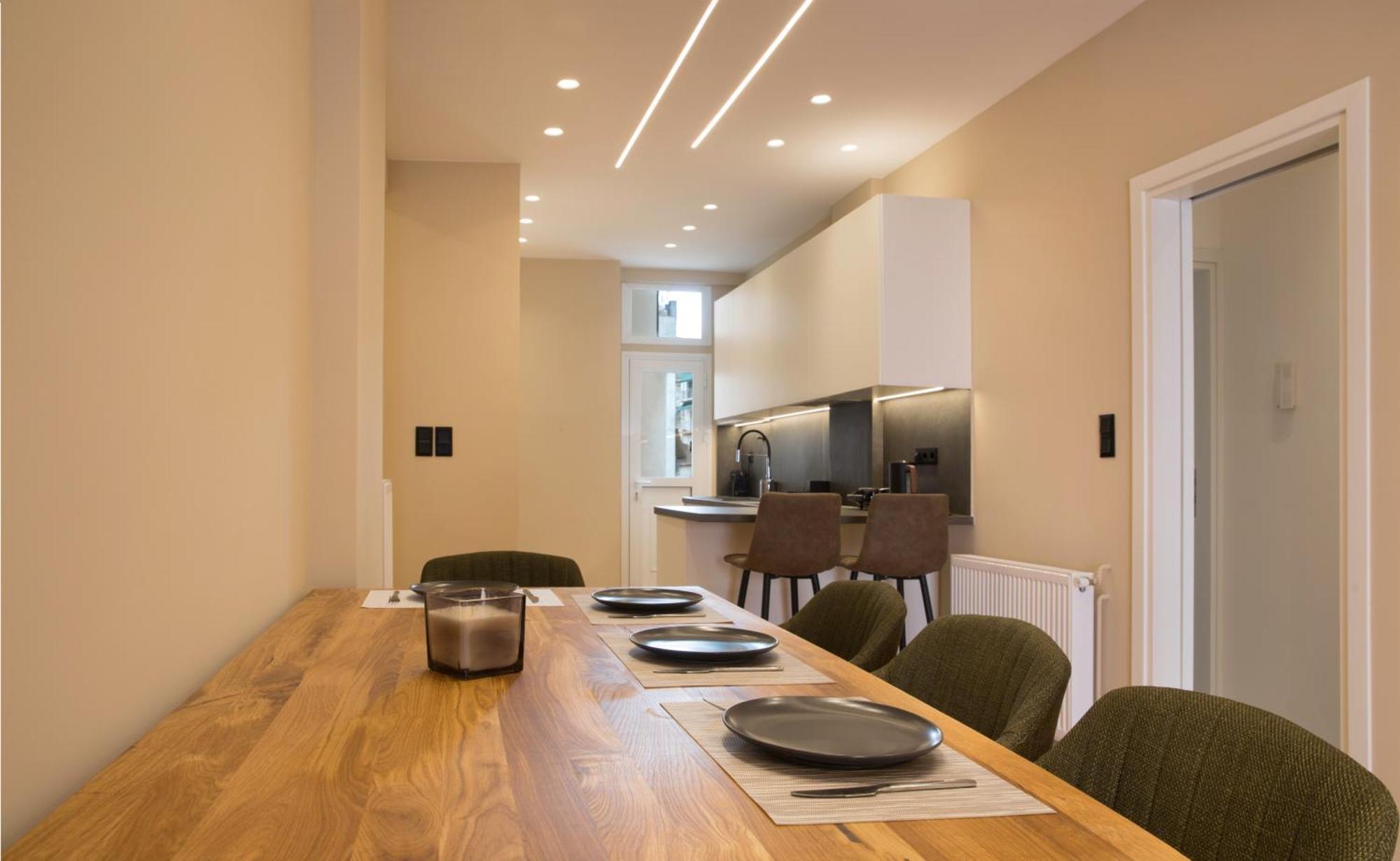 Urban Spacious Apartment Near Kallimarmaron Athens Exterior photo