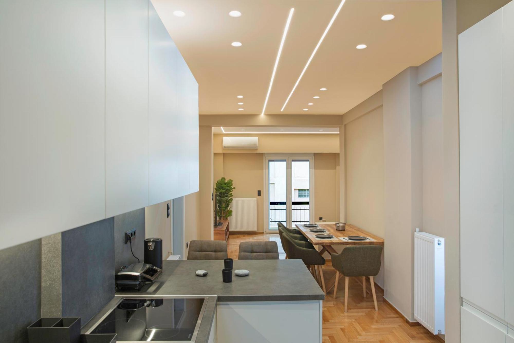 Urban Spacious Apartment Near Kallimarmaron Athens Exterior photo